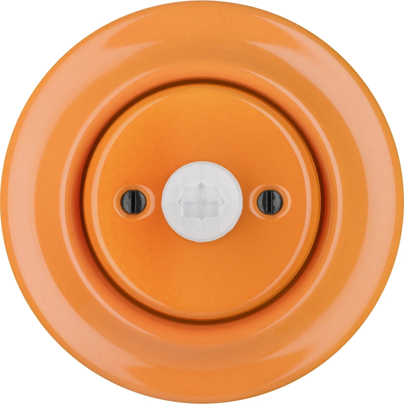 CAROTA